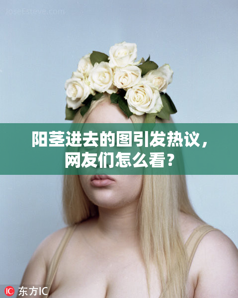 阳茎进去的图引发热议，网友们怎么看？