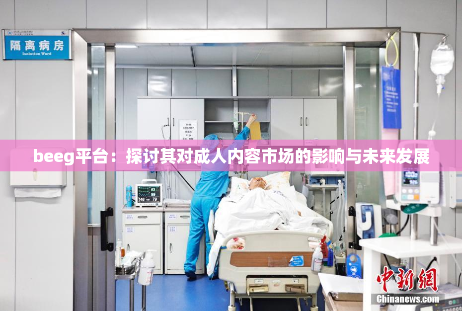 beeg平台：探讨其对成人内容市场的影响与未来发展