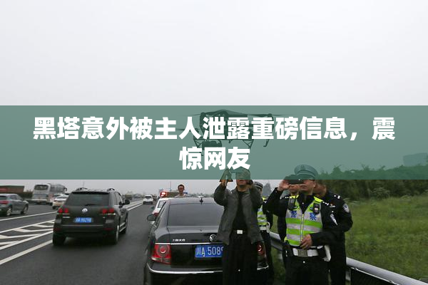 黑塔意外被主人泄露重磅信息，震惊网友