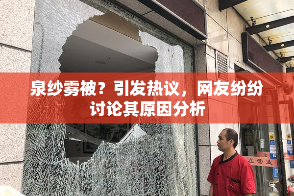 泉纱雾被？引发热议，网友纷纷讨论其原因分析