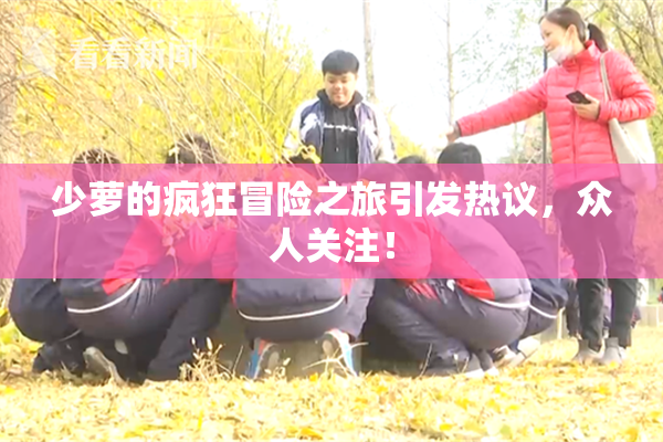 少萝的疯狂冒险之旅引发热议，众人关注！