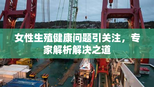 女性生殖健康问题引关注，专家解析解决之道