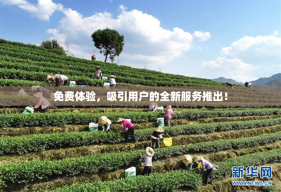 免费体验，吸引用户的全新服务推出！