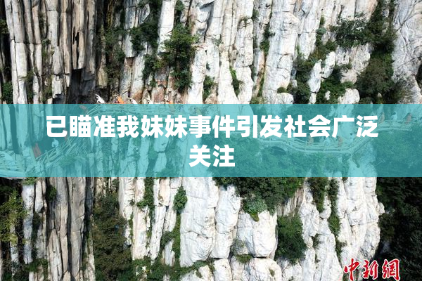 已瞄准我妹妹事件引发社会广泛关注