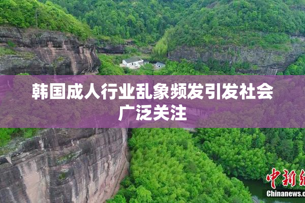 韩国成人行业乱象频发引发社会广泛关注