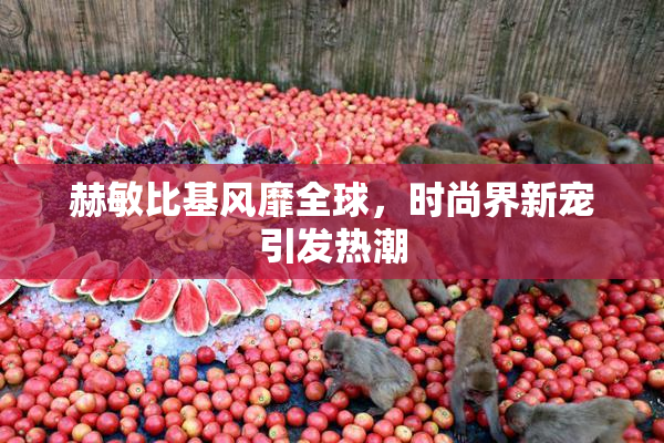 赫敏比基风靡全球，时尚界新宠引发热潮