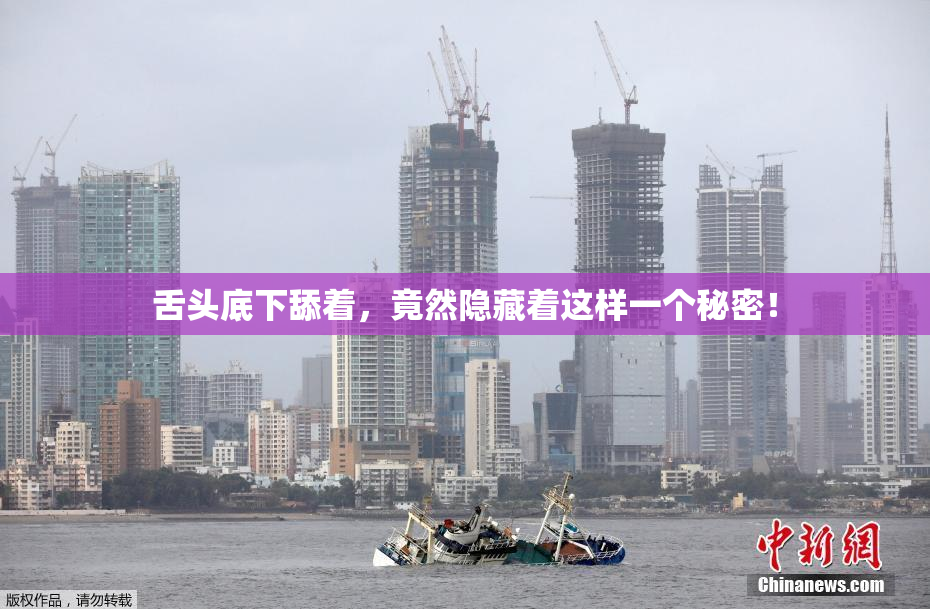 舌头底下舔着，竟然隐藏着这样一个秘密！
