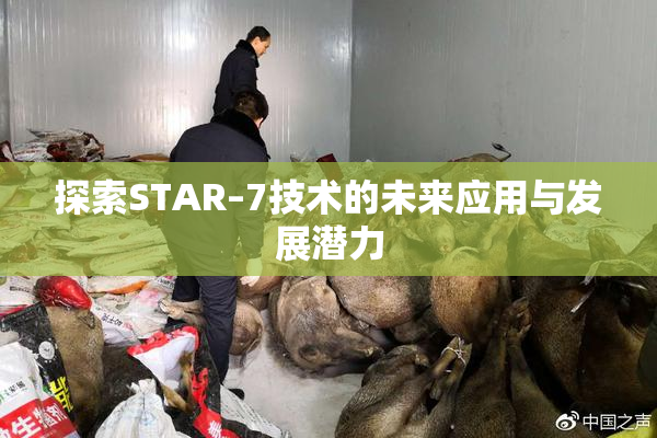探索STAR–7技术的未来应用与发展潜力
