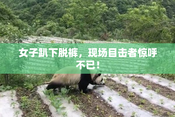 女子趴下脱裤，现场目击者惊呼不已！