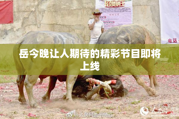 岳今晚让人期待的精彩节目即将上线