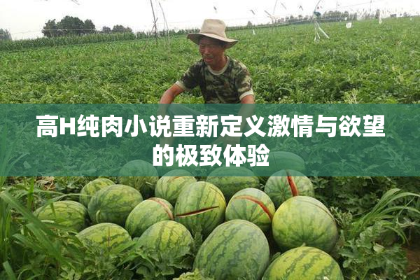 高H纯肉小说重新定义激情与欲望的极致体验