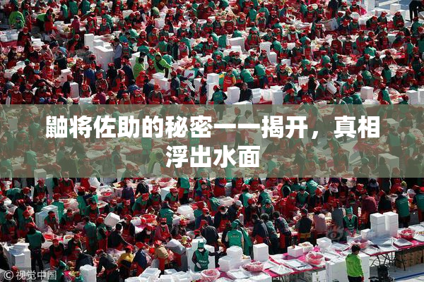 鼬将佐助的秘密一一揭开，真相浮出水面