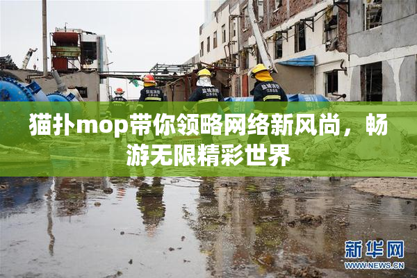 猫扑mop带你领略网络新风尚，畅游无限精彩世界