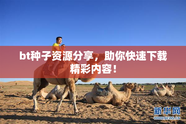 bt种子资源分享，助你快速下载精彩内容！