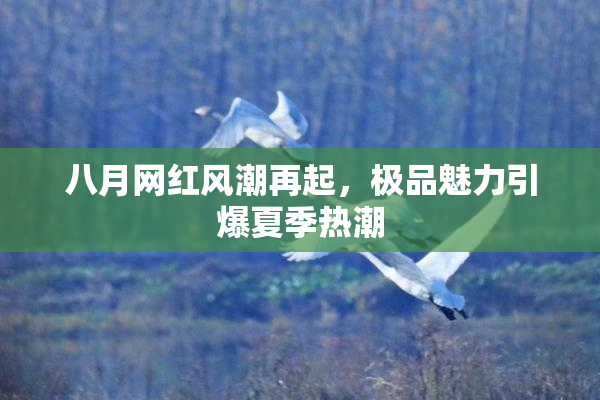 八月网红风潮再起，极品魅力引爆夏季热潮