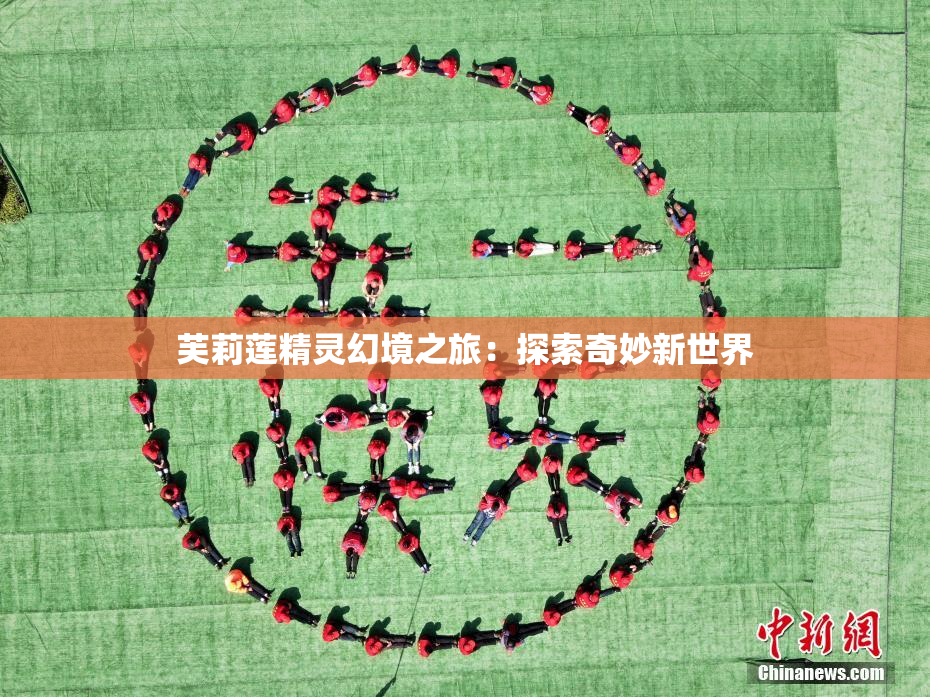芙莉莲精灵幻境之旅：探索奇妙新世界