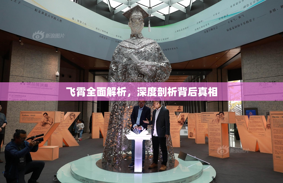 飞霄全面解析，深度剖析背后真相