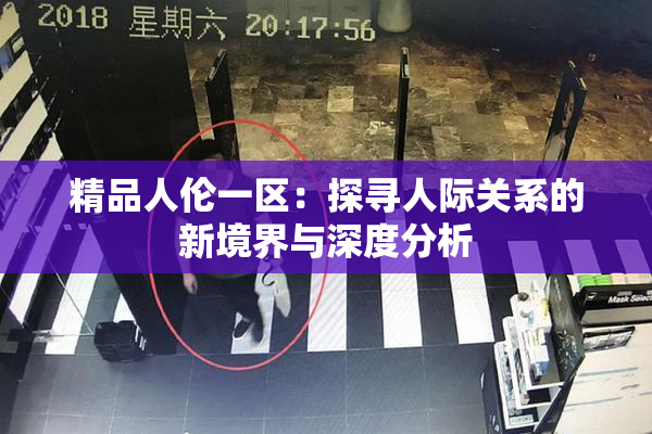 精品人伦一区：探寻人际关系的新境界与深度分析