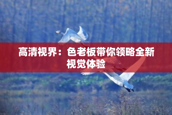 高清视界：色老板带你领略全新视觉体验
