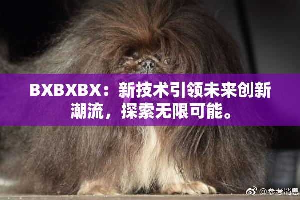 BXBXBX：新技术引领未来创新潮流，探索无限可能。