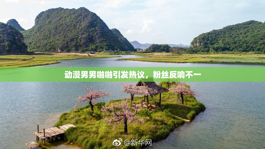 动漫男男啪啪引发热议，粉丝反响不一