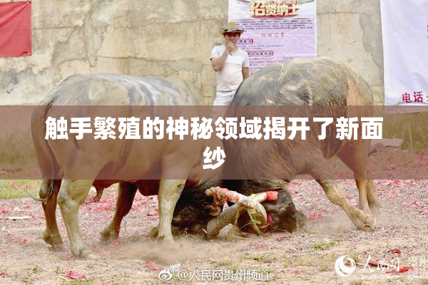 触手繁殖的神秘领域揭开了新面纱