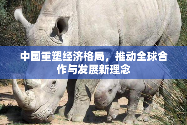中国重塑经济格局，推动全球合作与发展新理念