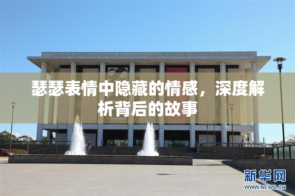 瑟瑟表情中隐藏的情感，深度解析背后的故事
