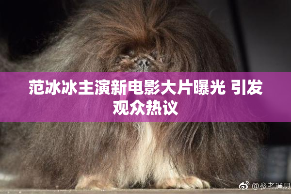 范冰冰主演新电影大片曝光 引发观众热议