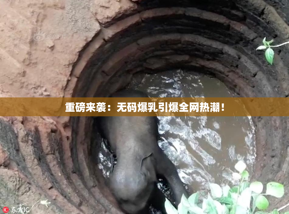 重磅来袭：无码爆乳引爆全网热潮！