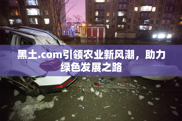 黑土.com引领农业新风潮，助力绿色发展之路