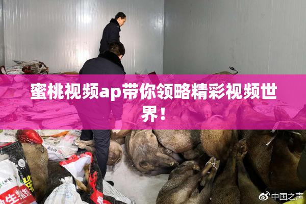 蜜桃视频ap带你领略精彩视频世界！