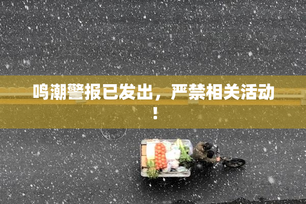 鸣潮警报已发出，严禁相关活动！