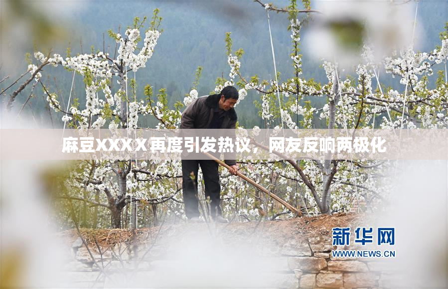 麻豆XXXⅩ再度引发热议，网友反响两极化