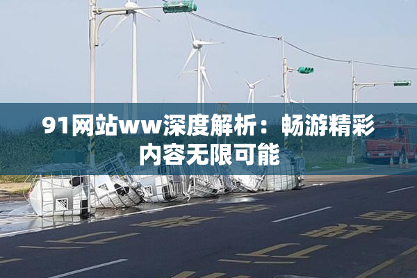 91网站ww深度解析：畅游精彩内容无限可能