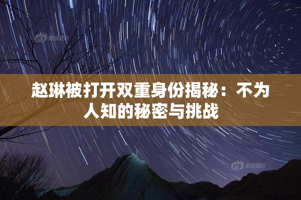 赵琳被打开双重身份揭秘：不为人知的秘密与挑战