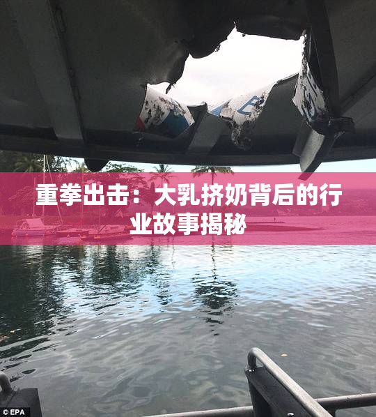重拳出击：大乳挤奶背后的行业故事揭秘