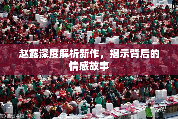 赵露深度解析新作，揭示背后的情感故事