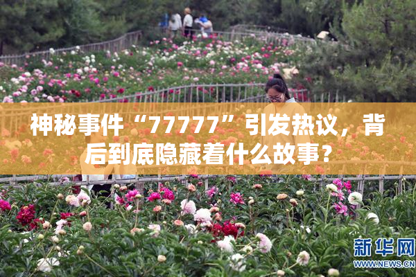 神秘事件“77777”引发热议，背后到底隐藏着什么故事？