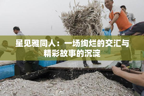 星见雅同人：一场绚烂的交汇与精彩故事的沉淀