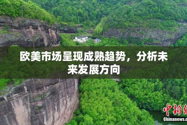 欧美市场呈现成熟趋势，分析未来发展方向