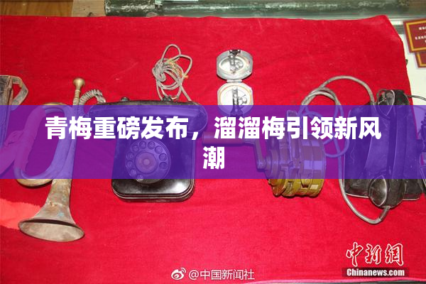 青梅重磅发布，溜溜梅引领新风潮