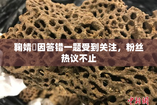 鞠婧祎因答错一题受到关注，粉丝热议不止