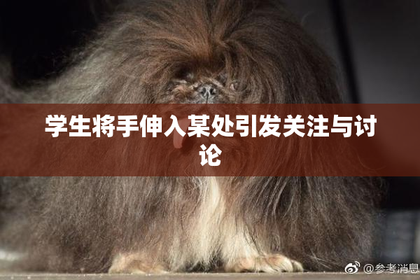 学生将手伸入某处引发关注与讨论