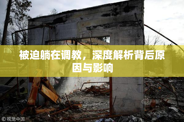 被迫躺在调教，深度解析背后原因与影响