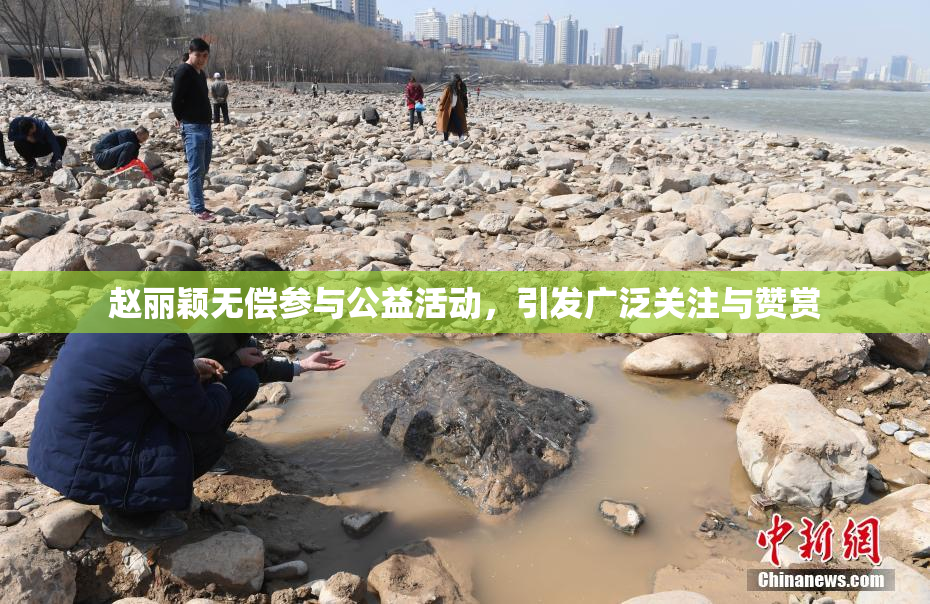 赵丽颖无偿参与公益活动，引发广泛关注与赞赏