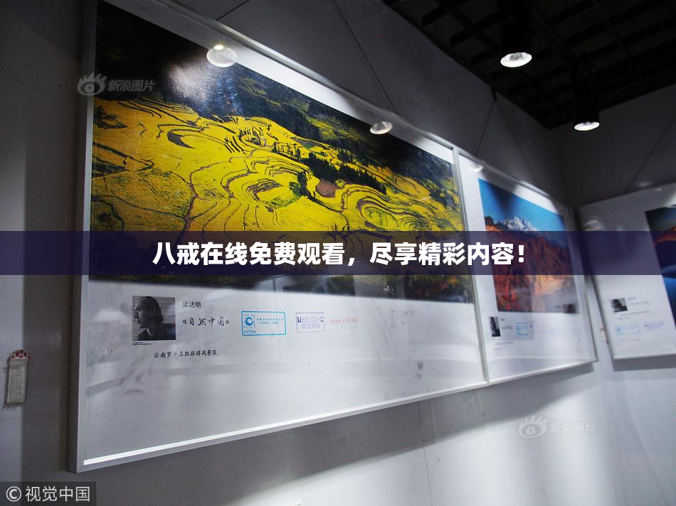 八戒在线免费观看，尽享精彩内容！
