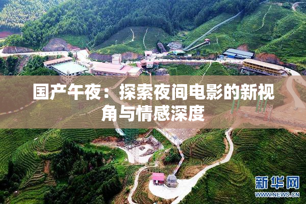 国产午夜：探索夜间电影的新视角与情感深度