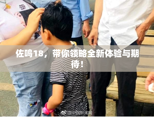 佐鸣18，带你领略全新体验与期待！