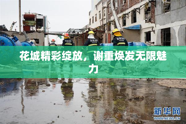 花城精彩绽放，谢重焕发无限魅力
